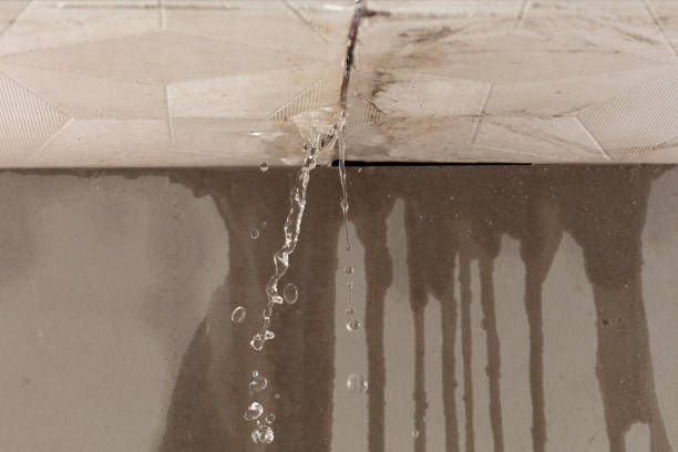 Professional Flood Damage Cleanup technician working in Wellington, FL